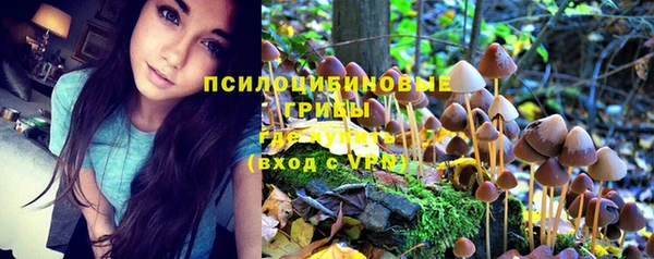 тгк Лихославль