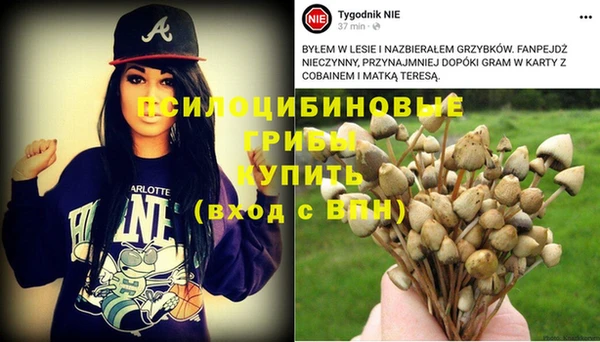 марки nbome Лиски