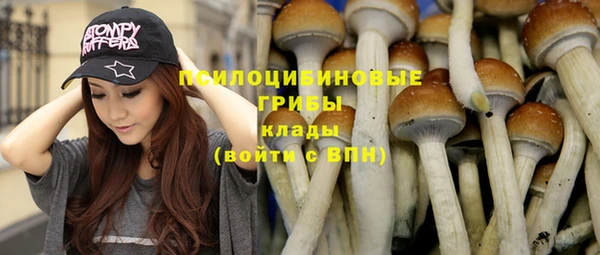 mdpv Липки