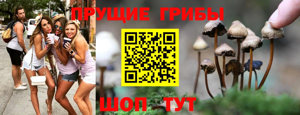 Галлюциногенные грибы Psilocybine cubensis  Вход с VPN  Майкоп 